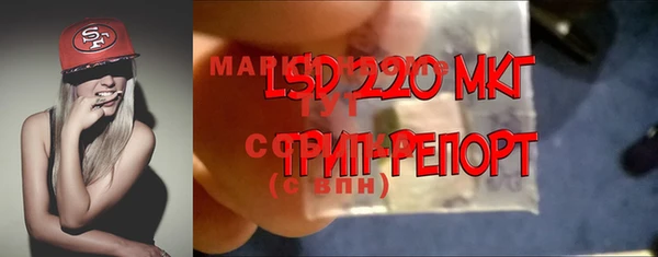 spice Алексеевка
