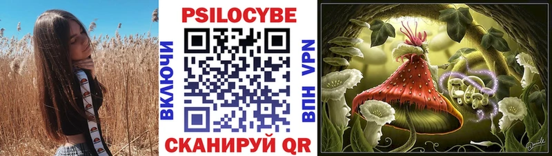 Псилоцибиновые грибы мицелий  где найти   Кремёнки 